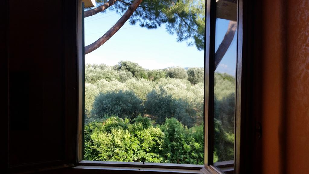 Hotel Villa Maria Luigia 프라스카티 객실 사진